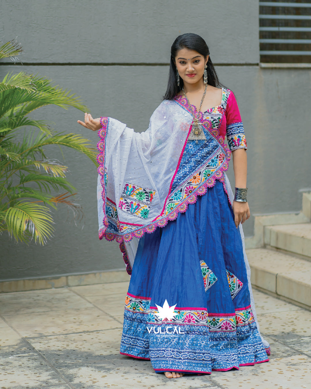 Pink & Blue Navratri Chaniya Choli