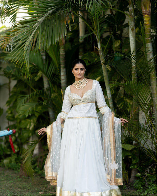 Almond Glow Chaniya Choli
