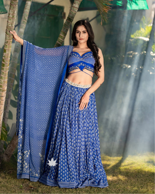 Indigo Royale Choli Suit