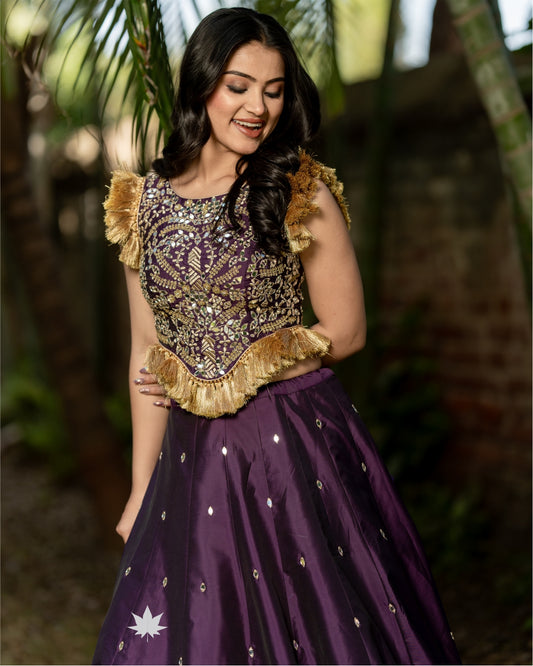 Wanderlust Weaves Lehenga with Tassel Top