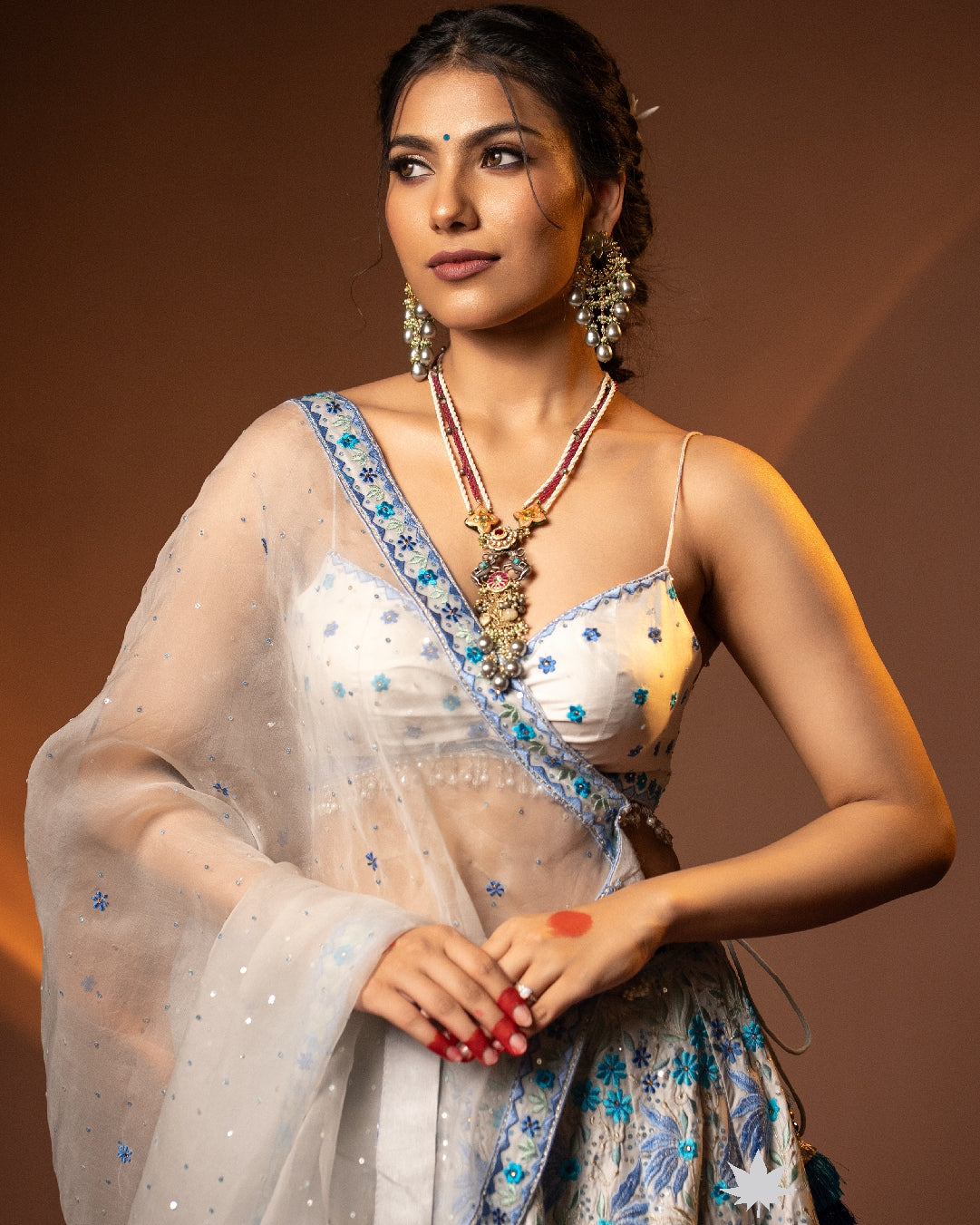 Light Grey Embroidered Lehenga Set