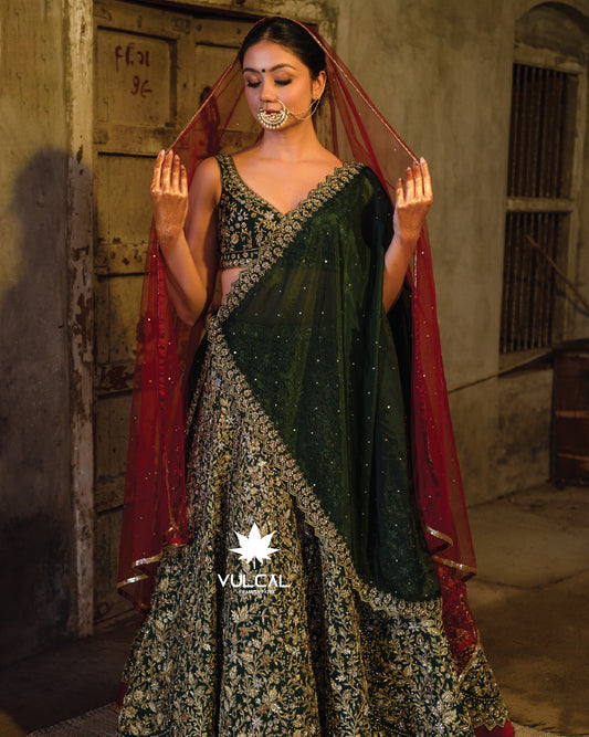 baroda chaniya choli