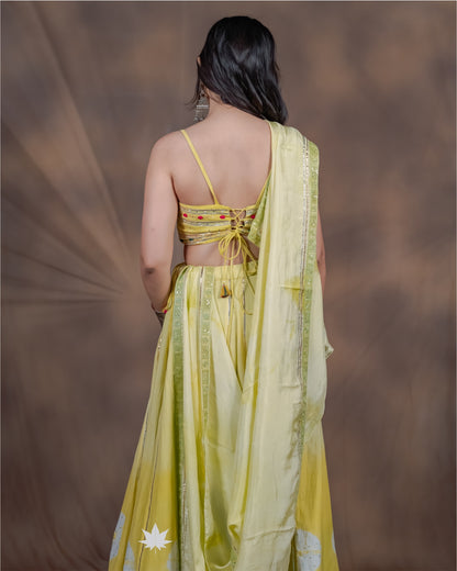Yellow Chaniya Choli with Hand-Painted Flowers