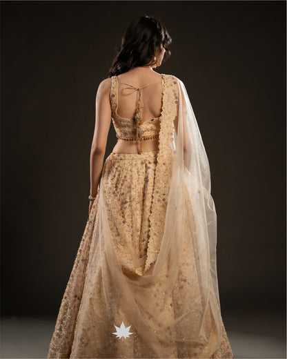 Golden Glow – Embroidered Net Lehenga Set