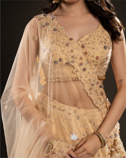 Golden Glow – Embroidered Net Lehenga Set