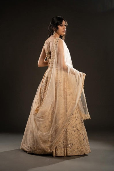 Golden Glow – Embroidered Net Lehenga Set