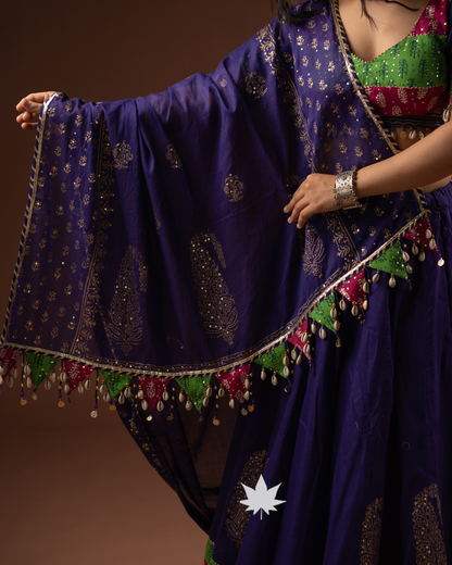 Nilambari Traditional Garba Chaniya Choli