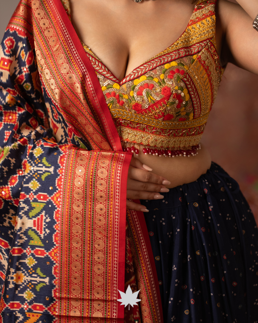 Navy Blue Chaniya Choli with Multicolored Patola Print Dupatta