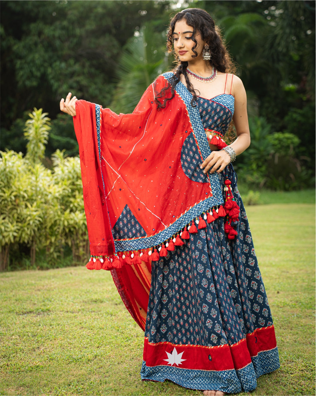 Indigo&Red Chaniya Choli Set
