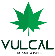 Vulcal Store